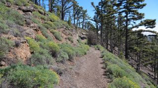 2022-03-GranCan-Mirador_Sargento-Trekking-PM-NN-28.JPG